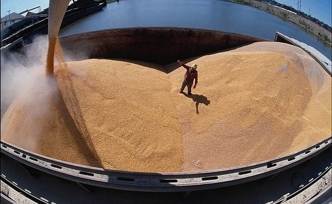 Доходы России от экспорта зерна увеличились на 40%